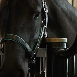 Protecting what matters - Bronze Telly winner